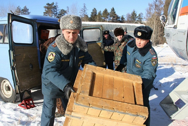 ����� ������� ������� ������������� �� ����������� �� ����������� ����������� 