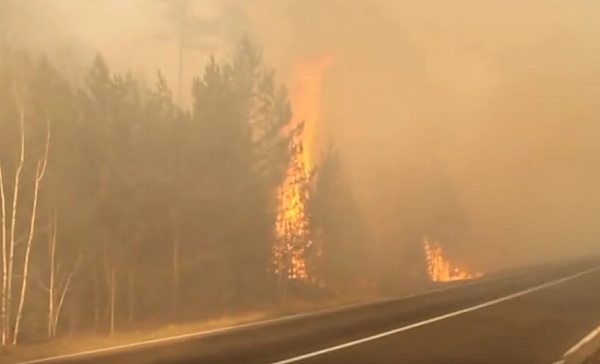 �������: ������� � �������������� ������ ������ 