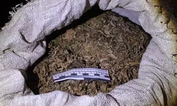 Житель Бурятии получил «условку» за наркотики в гараже 