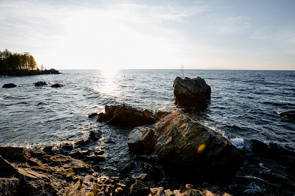 ����� ������� ����������� ��������������� �����������