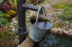 � ������� ����, ����������� ��� ����, ����� ������� ������ 