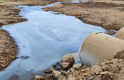 ����� ������� �������� ��� ������� ������ �� ������ ����������