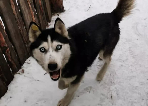 ����� �� ������������ ������ ������� ����� ������� 