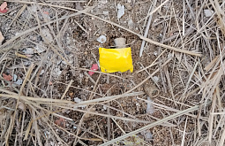 � ����-��� ������������ ��������� ����������