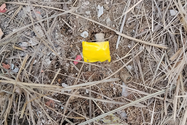 � ����-��� ������������ ��������� ����������