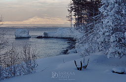 � ������� �������� ������ ��������� ��������� 