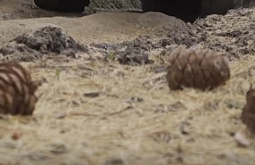 ������ ���������� ����� � ������ ���� ������������ ��������� 