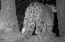 � ������� ��������� ����� ���� ������� ������ 