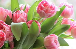 �������� � 8 ����� ������� �������� �������� ������� 