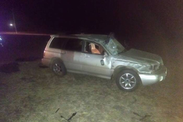 � ������� ����� �������� ������� ��������