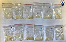 � �������� ��������������� ������������ ��������� �� ������� 