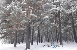 ������������� ������� ������� ��������� � ������� �������� ���������