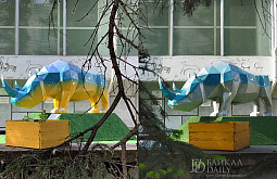 Музей в Улан-Удэ объяснил, почему перекрасили сине-жёлтого носорога  