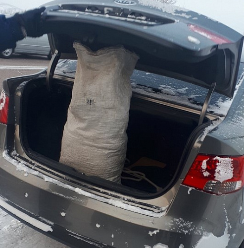 ����-������ ����� �������� ����������