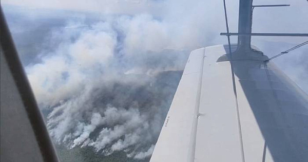 � ���������� ���� ����� �������� �� �������� Cessna