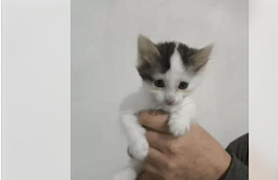 � ����-��� �� ����������� ����� ������� ����������� ������ ������