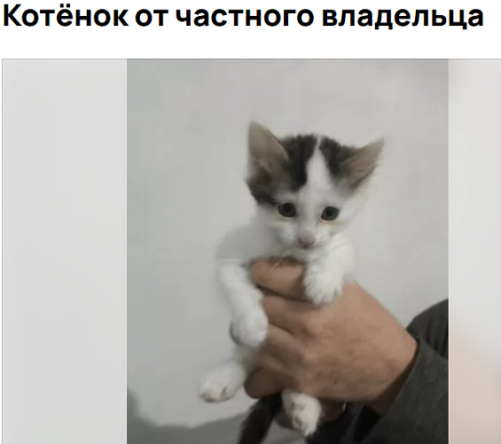 � ����-��� �� ����������� ����� ������� ����������� ������ ������