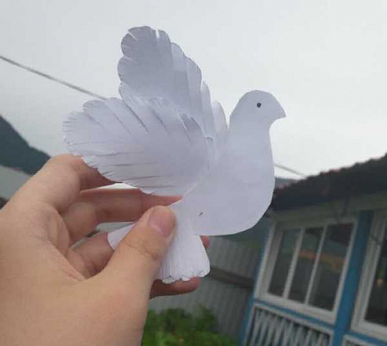 Учреждения культуры Бурятии запустили голубей 