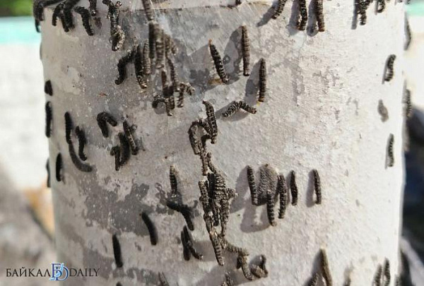 � ����-��� �������� ������ � �������� �� ������ �����