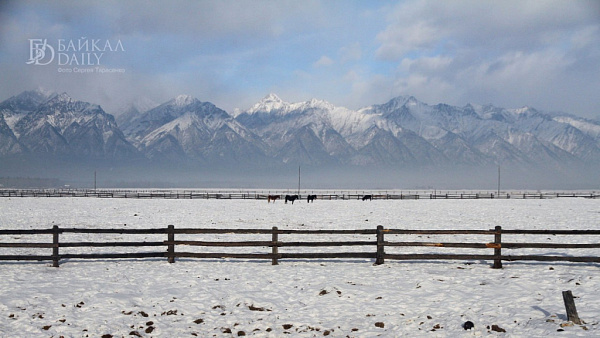 � ������� ������ �� ��� �������� ����� � ������ 