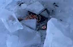 �������� ��������� �������� �� ������������ �������� �� ������� 