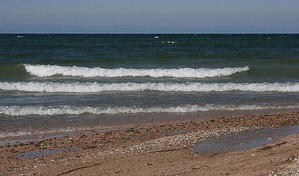 ������������ ��������� ���� �� ���� ������� �� ������ ������� � ������� 