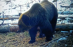 � ������ ������� ���������� ������� �����