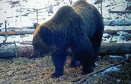 � ������ ������� ���������� ������� �����