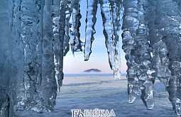 ������ ������� ��������� ������-������� ������ �� �������