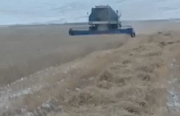 � ������� ���������� � ���������, ��������� ������ �� ��� ���