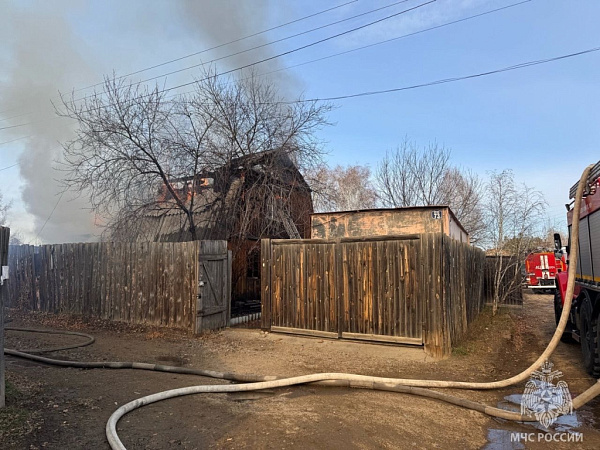 � ���� ������ ����������� ���