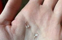 ����-������ ����� � ������ ����� ������