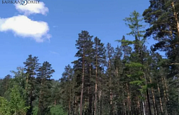 � ������� ������� ����� ��� ����� �������� ���������