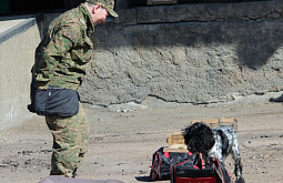 � ����-��� ������ ���������� ��������� ������ ������� (�����)