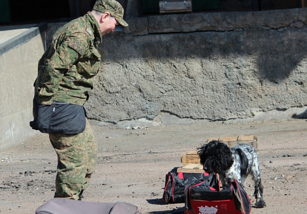 � ����-��� ������ ���������� ��������� ������ ������� (�����)