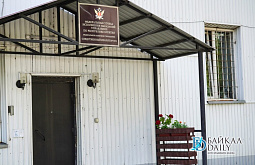 В Бурятии оставили в СИЗО экс-руководителя лесхоза