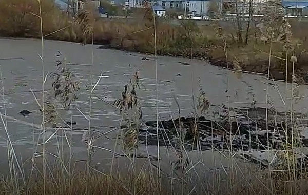 ���������� ���������� ����� � ����-��� ����� ������ � ���� ���� 