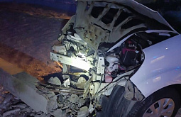 � ����-��� ������������ ���� ������������ 