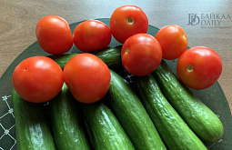 В Бурятии обнародовали самые подорожавшие за месяц продукты