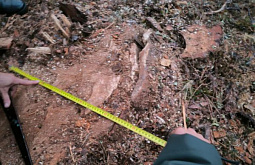 �� ������� ���������� ���������� ����� 