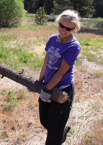 � ������� ����������� �������� ����� ���������� ��������� �������