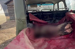 � ��������� ������� ��������� �����������, ������������ ����� ������������ �����