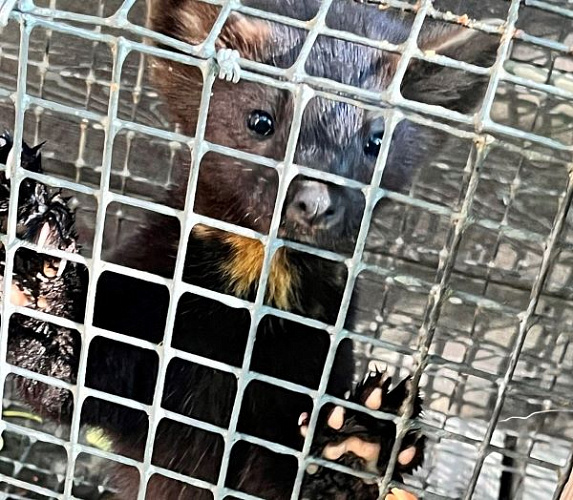 � ������� �������� �������� � ���������� ������� 