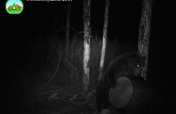 ��������� ������� � ����� �����: � ���������� � ����������� �������� ����� �������� 