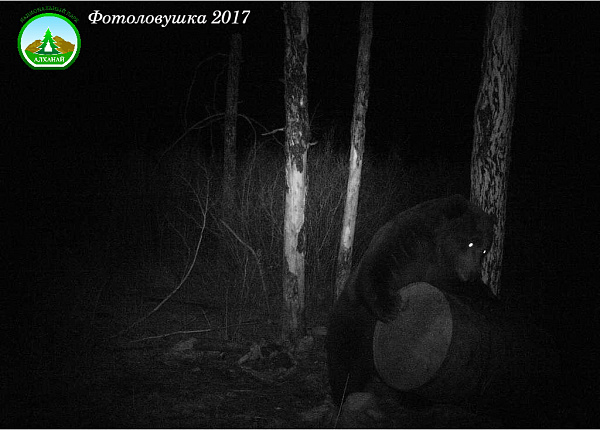 ��������� ������� � ����� �����: � ���������� � ����������� �������� ����� �������� 