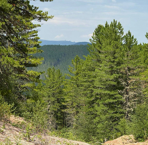 � ��������� ������� ����������� ����������� �� ������������ ������������������ 