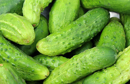 � ������� ������ ������ �������������� ������ 