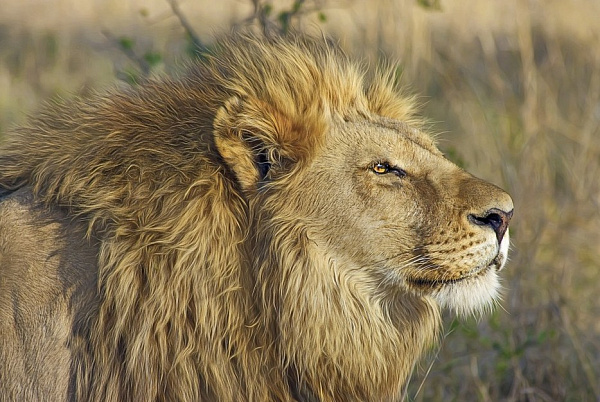 ���������� � ������� ���� �� ������ � ���������� ��������� �� ������ 