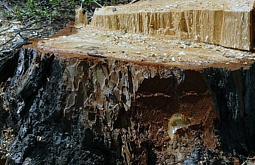 �� ������ ����� ��������� � ��������� ������� ����� ���������