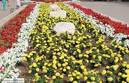 ����-��� �������� 10 ��������� ������ �� �����